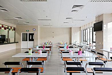 国产中世纪《骤影：绯月杀》新实机演示 雾月岛厮杀